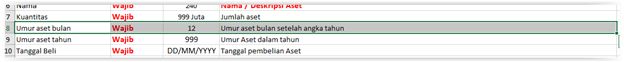Informasi Format Data Excel